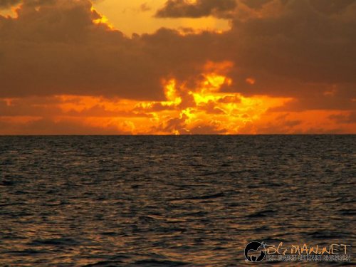 Красиви залези