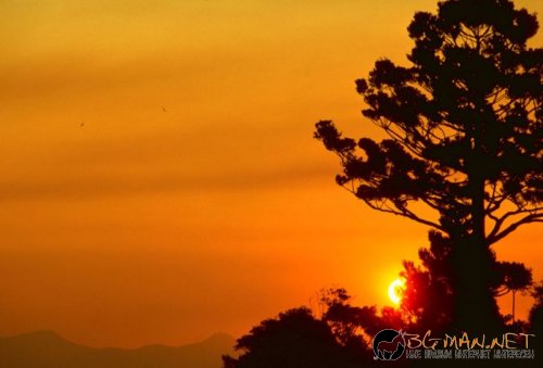 Красиви залези