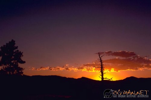 Красиви залези