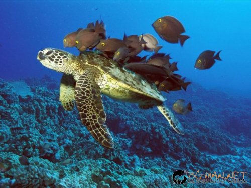 Най-интересни сники за днес - 26.05.2010 г.