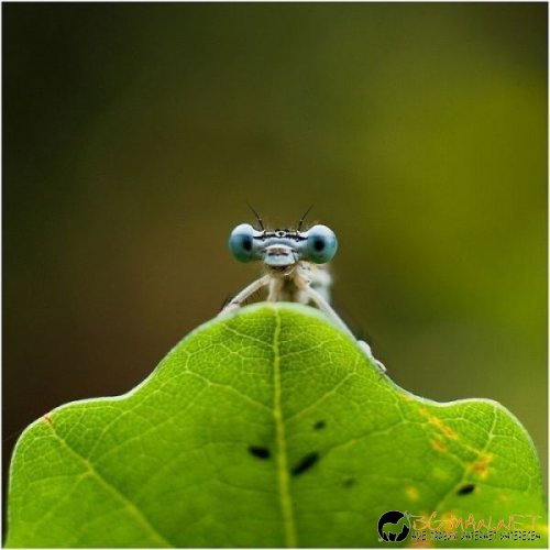 Най-интересни сники за днес - 26.05.2010 г.