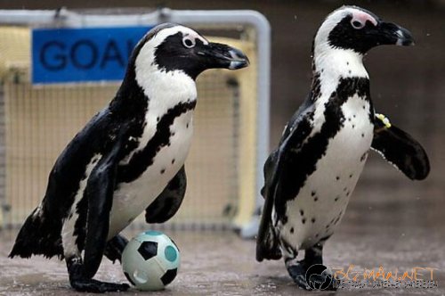 Най-интересни сники за днес - 26.05.2010 г.