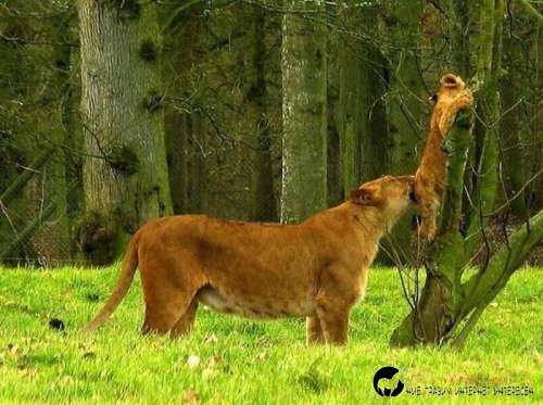 Най-интересни сники за днес - 26.05.2010 г.