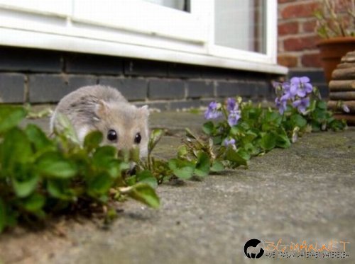 Най-интересни сники за днес - 26.05.2010 г.