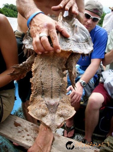 Най-интересни сники за днес - 26.05.2010 г.