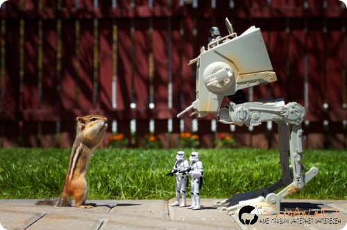 Най-интересни сники за днес - 26.05.2010 г.