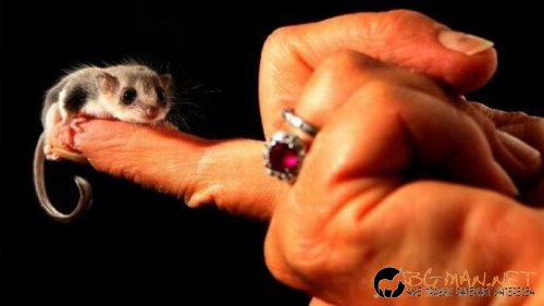 Най-интересни сники за днес - 26.05.2010 г.