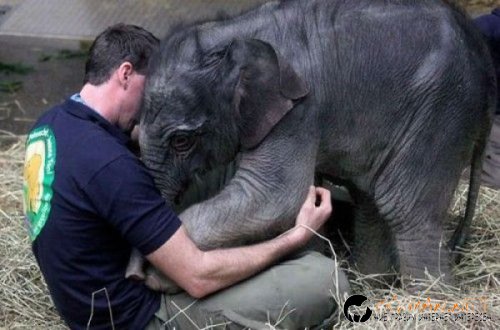 Най-интересни сники за днес - 26.05.2010 г.