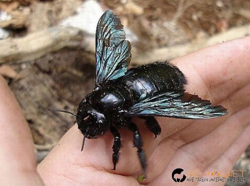 Най-интересни сники за днес - 26.05.2010 г.