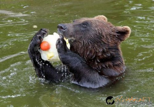 Най-интересни сники за днес - 26.05.2010 г.