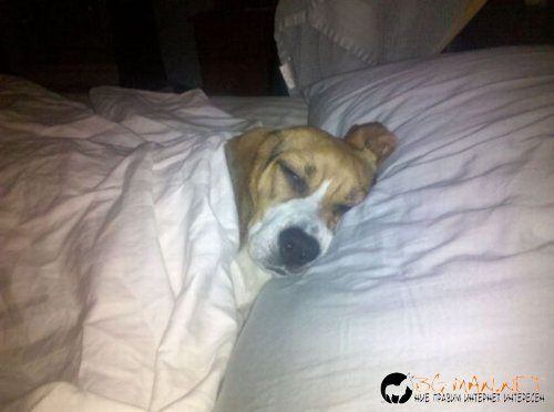 Най-интересни сники за днес - 26.05.2010 г.