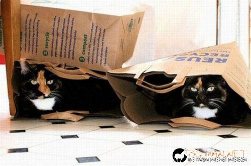 Най-интересни сники за днес - 26.05.2010 г.