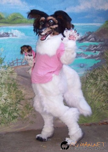 Най-интересни сники за днес - 26.05.2010 г.