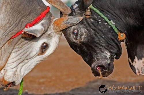 Най-интересни сники за днес - 26.05.2010 г.