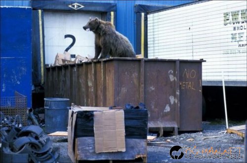 Най-интересни сники за днес - 26.05.2010 г.