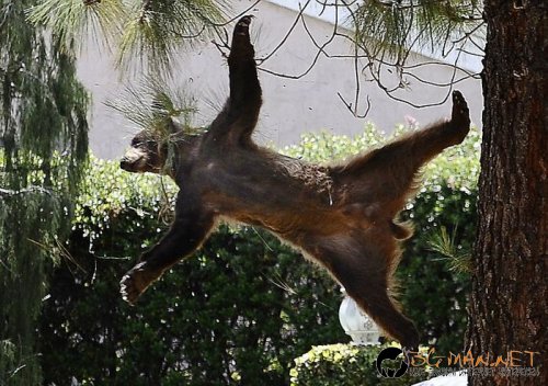 Най-интересни сники за днес - 28.05.2010 г.