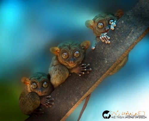 Най-интересни сники за днес - 28.05.2010 г.