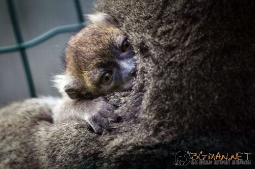 Най-интересни сники за днес - 28.05.2010 г.