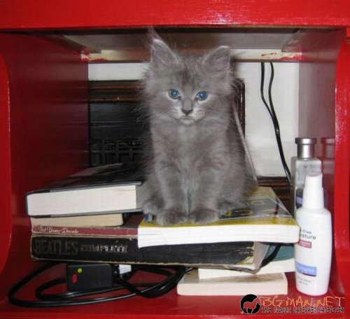 Най-интересни сники за днес - 28.05.2010 г.