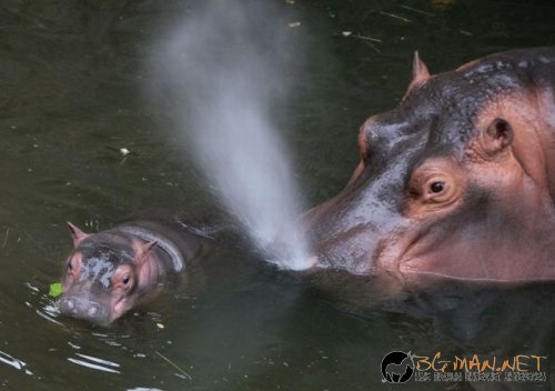 Най-интересни сники за днес - 28.05.2010 г.