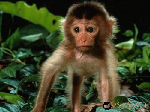 Най-интересни сники за днес - 28.05.2010 г.