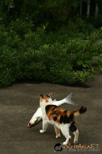 Най-интересни сники за днес - 28.05.2010 г.