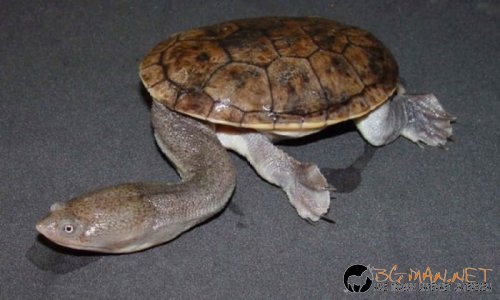 Най-интересни сники за днес - 28.05.2010 г.