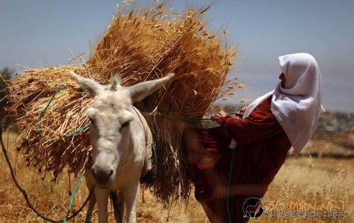 Най-интересни сники за днес - 28.05.2010 г.