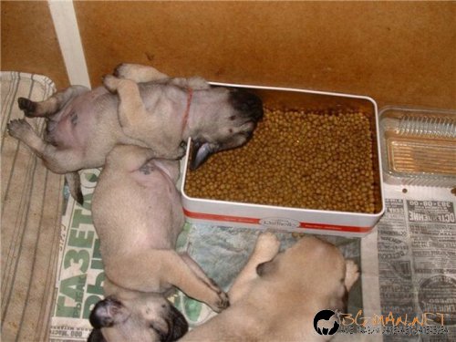 Най-интересни сники за днес - 28.05.2010 г.