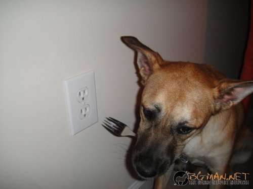 Най-интересни сники за днес - 28.05.2010 г.