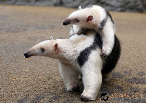 Най-интересни сники за днес - 28.05.2010 г.