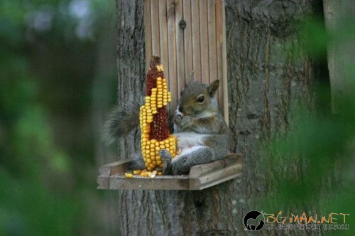 Най-интересни сники за днес - 28.05.2010 г.