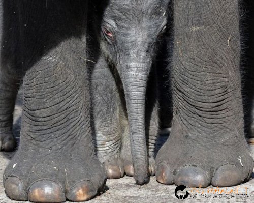 Най-интересни сники за днес - 28.05.2010 г.