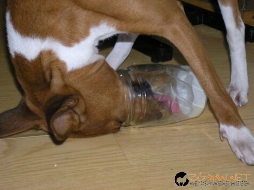 Най-интересни сники за днес - 28.05.2010 г.