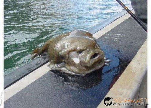 Най-интересни сники за днес - 28.05.2010 г.