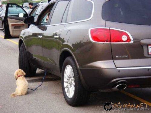 Най-интересни сники за днес - 28.05.2010 г.