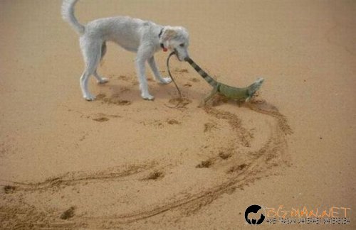 Най-интересни сники за днес - 28.05.2010 г.