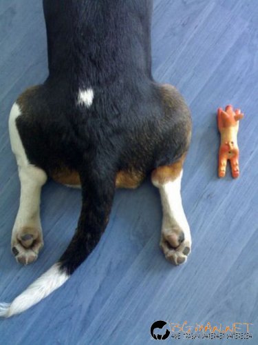 Най-интересни сники за днес - 28.05.2010 г.