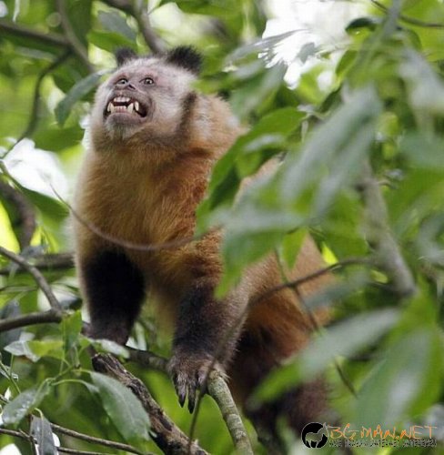 Най-интересни сники за днес - 28.05.2010 г.