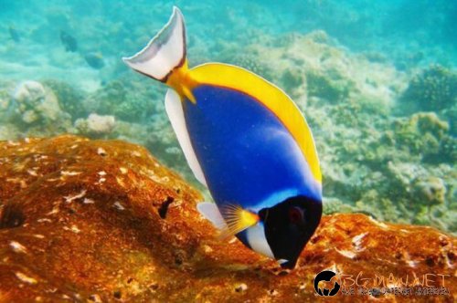 Най-интересни сники за днес - 28.05.2010 г.