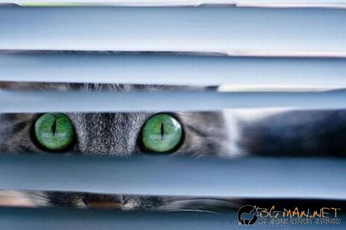 Най-интересни сники за днес - 28.05.2010 г.