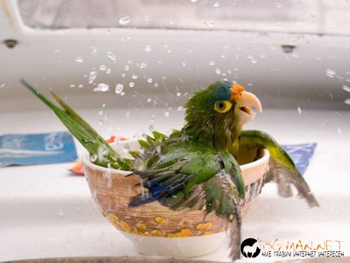 Най-интересни сники за днес - 28.05.2010 г.