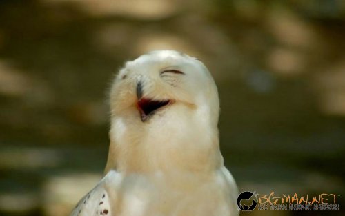 Най-интересни сники за днес - 31.05.2010 г.