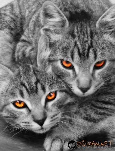 Най-интересни сники за днес - 31.05.2010 г.