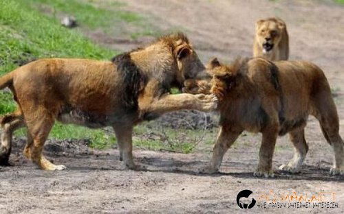 Най-интересни сники за днес - 31.05.2010 г.