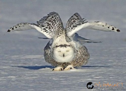 Най-интересни сники за днес - 31.05.2010 г.