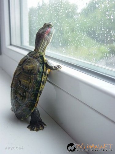 Най-интересни сники за днес - 31.05.2010 г.