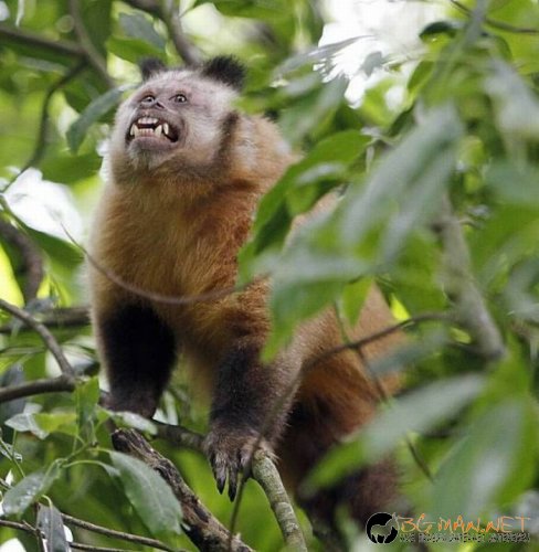 Най-интересни сники за днес - 31.05.2010 г.