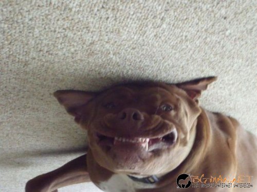 Най-интересни сники за днес - 31.05.2010 г.