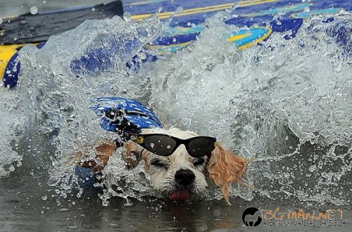 Най-интересни сники за днес - 31.05.2010 г.